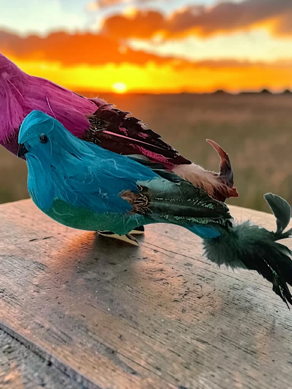 2‎ Vintage Feathered Peacock Bird Ornaments Clip On Large Pink Blue Christmas
